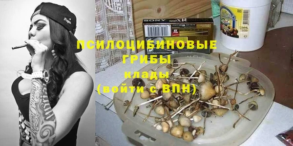 индика Алексеевка
