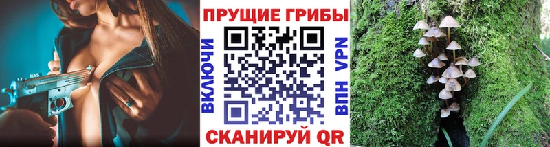 Галлюциногенные грибы прущие грибы  Егорьевск 