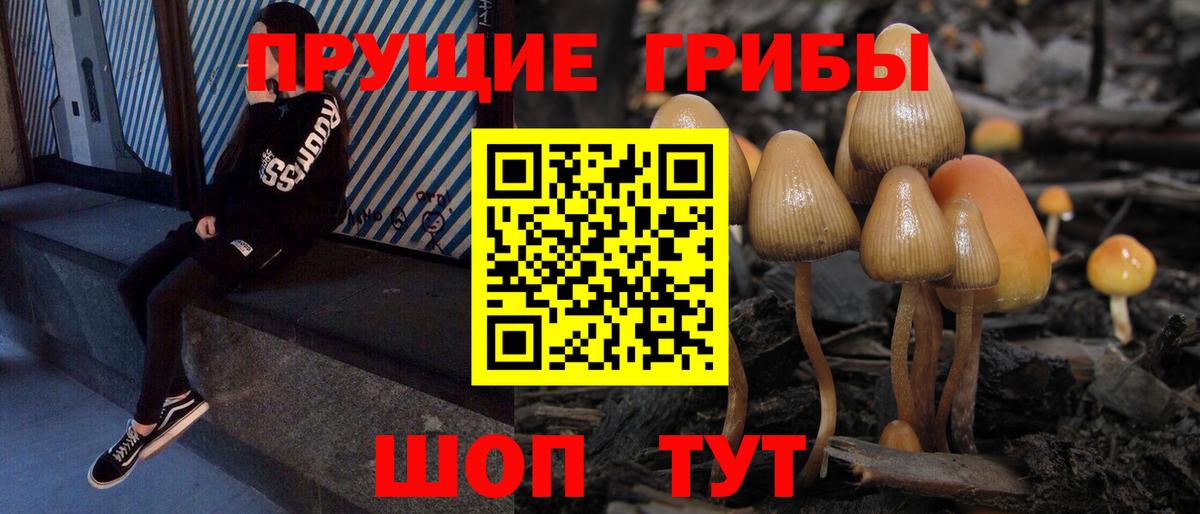 Псилоцибиновые грибы GOLDEN TEACHER Егорьевск