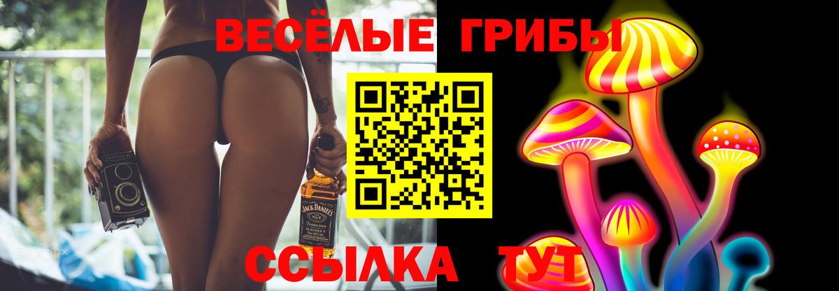Псилоцибиновые грибы Cubensis  как найти наркотики  Егорьевск  Вход с VPN  Галлюциногенные грибы Psilocybine cubensis 